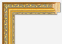 Custom Picture Frame CFSZ1051