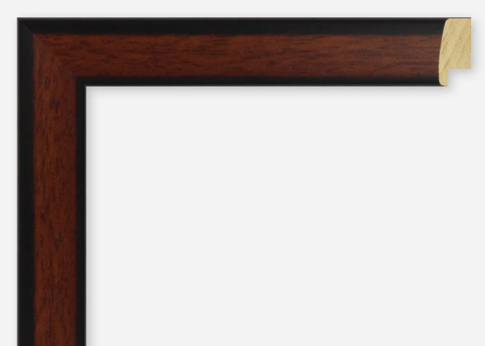 Custom Picture Frame CFSX2420-70