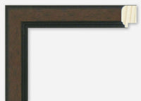 Custom Picture Frame CFSX310-365