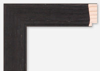 Custom Picture Frame CFSX310-385