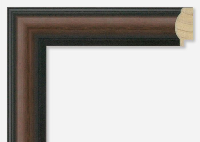 Custom Picture Frame CFSX340-20