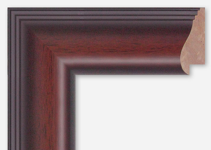 Custom Picture Frame CFSX360-10