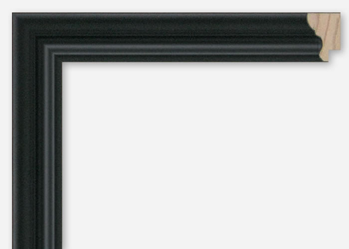 Custom Picture Frame CFSX460-60