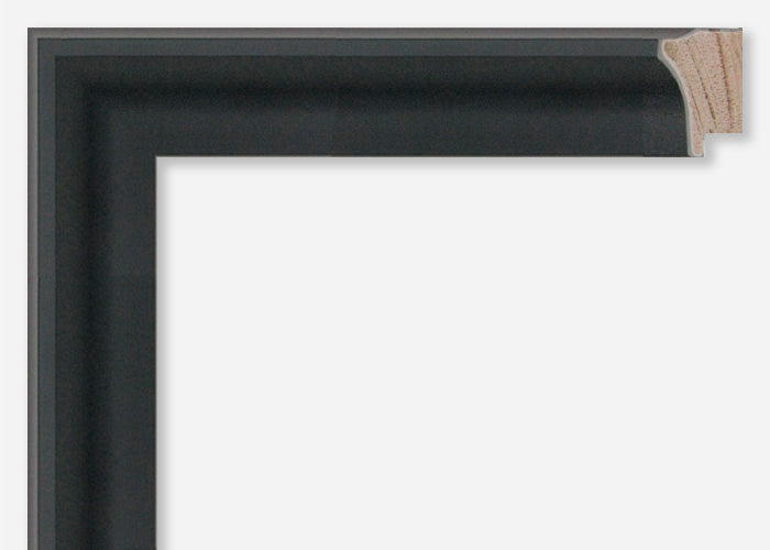 Custom Picture Frame CFSX800-860