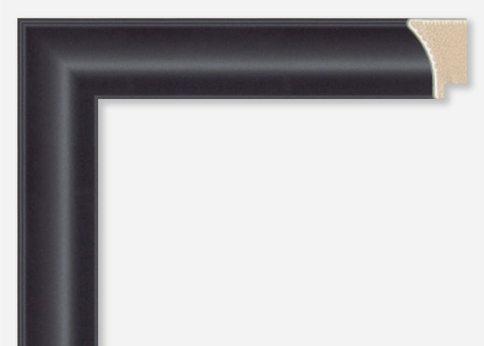 Custom Picture Frame CFSX855-60