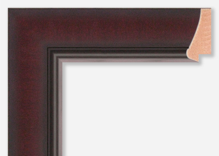 Custom Picture Frame CFSX870-95