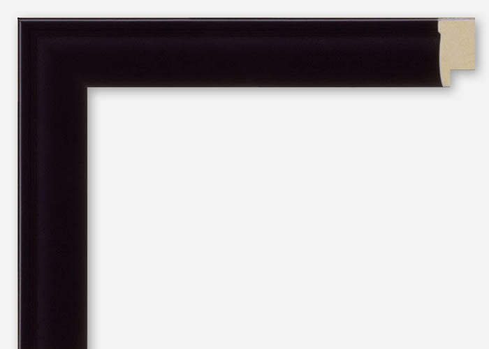 Custom Picture Frame CFSYBG3210