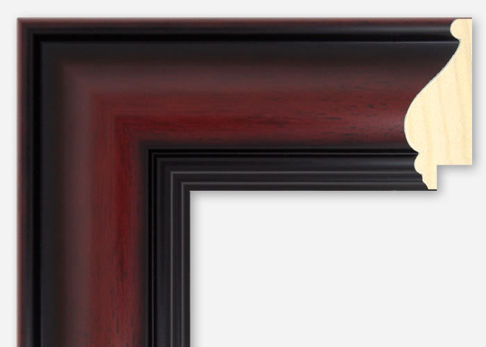 Custom Picture Frame CFSYBR4113