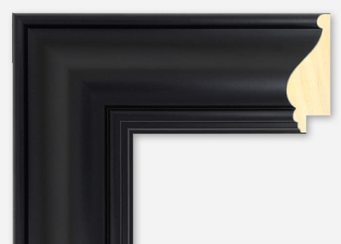 Custom Picture Frame CFSYBR4120