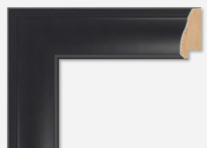 Custom Picture Frame CFSX350-55