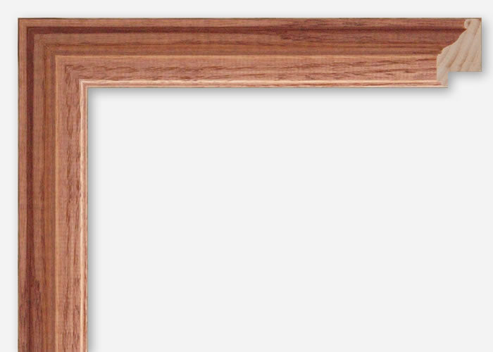 Custom Picture Frame CFSXML-990