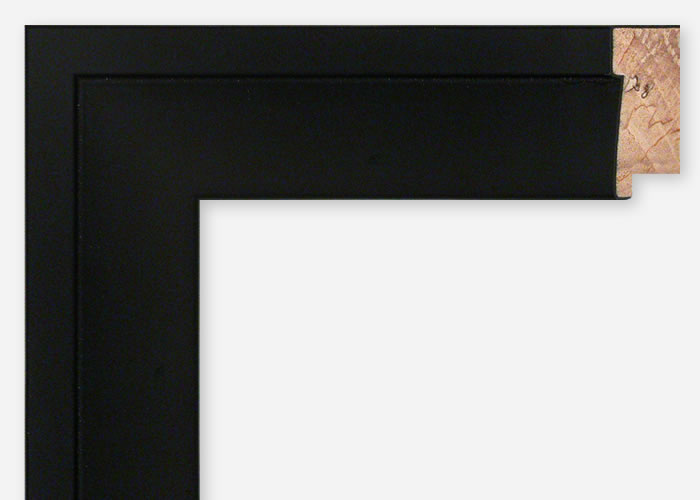 Custom Picture Frame CFSX300-880